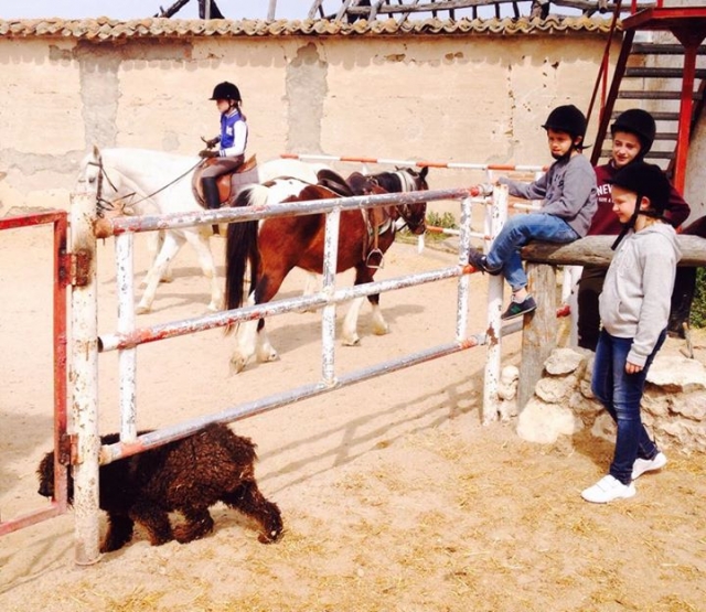 Con los animales.jpg